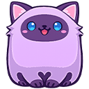 Purple Cat